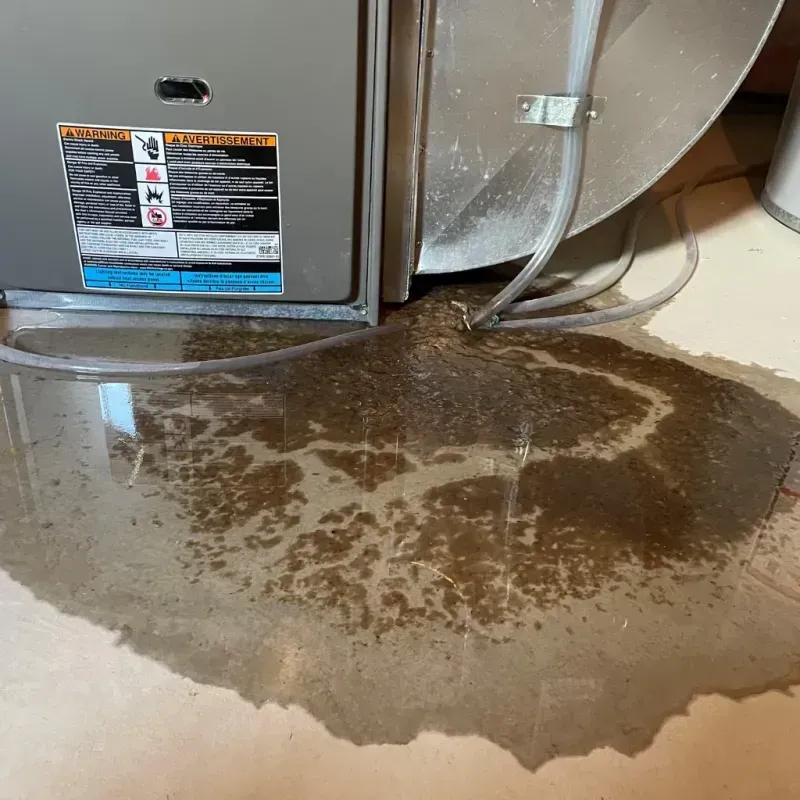 Appliance Leak Cleanup in Mason, NH